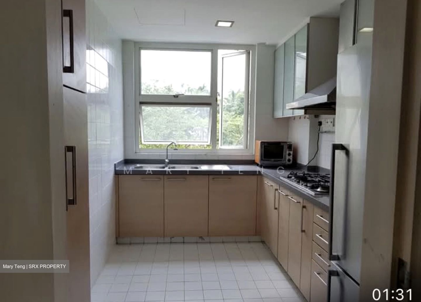 Dahlia Park Condominium (D17), Condominium #607066201